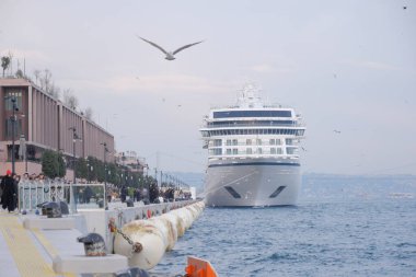 Güzel bir yolcu gemisi, sakin bir limana demirlemiş meraklı izleyicilerle birlikte.