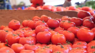 Yerel dükkanda taze domates satışı 