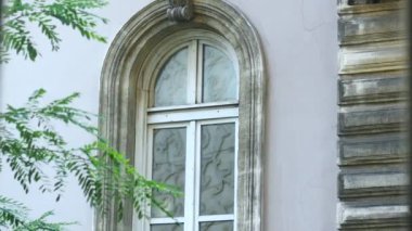 Etrafını çevreleyen canlı ve gür yapraklarla süslenmiş güzel tasarlanmış kemerli bir pencere.