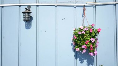 Güzel, renkli bir sepet. Bir dizi çiçekle dolu. Huzurlu mavi bir arka plan.