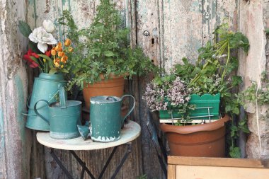 Köy ortamında saksılar, bitkiler ve sulama kutularının yer aldığı hoş bir bahçe sergisi..