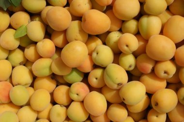 Canlı bir kayısı gösterisi, zengin renklerini ve hoş dokularını gözler önüne seriyor.