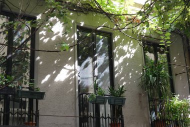 Canlı bitkiler ve benekli güneş ışığıyla süslenmiş sakin bir balkon barışçıl bir atmosfer yaratıyor.