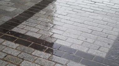 Yağmurdan sonra ışığı güzel bir şekilde yansıtan parlak ıslak kaldırım taşlarının yakın görüntüsü.