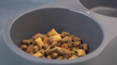 Kuru hayvan mamasıyla dolu gri bir kase, içinde mama parçaları ve ikramlar var.