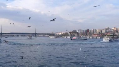 Hindi İstanbul 19 Haziran 2023 Eminonu Camii yakınlarındaki Boğaz nehrindeki terminale park etmiş feribotlar..