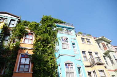 Balat 'ta açık mavi gökyüzünün altında yemyeşil süslemeli çok renkli binalar. 