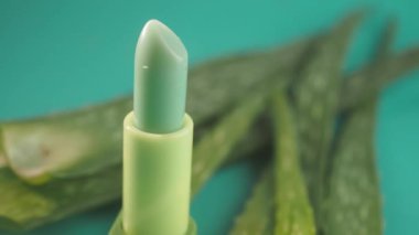 Yeşil Bitki Arkaplanlı Aloe Vera Dudak Merhemi Tazeleniyor.