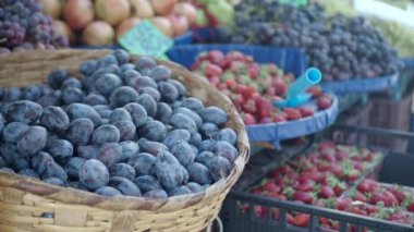 Açık hava pazarında sepetlere yerleştirilmiş çeşitli taze meyve çeşitleri.