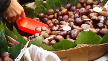 Bir market tezgahında taze kestane ve yeşil yapraklar sergilenerek sonbahar atmosferi oluşturulur.