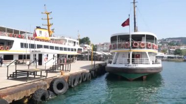 Feribotlar açık hava ve sakin sularla çevrili hareketli bir limanda görülebilir.
