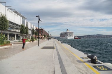 Güzel bir yolcu gemisi, sakin bir limana demirlemiş meraklı izleyicilerle birlikte.