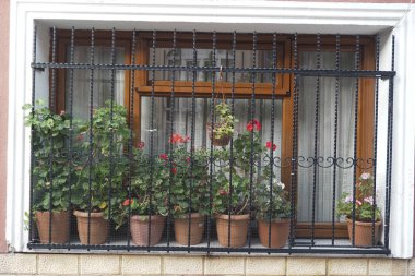 Cazibe için canlı saksı bitkileri ve zarif demir çubuklarla süslenmiş güzel bir pencere.