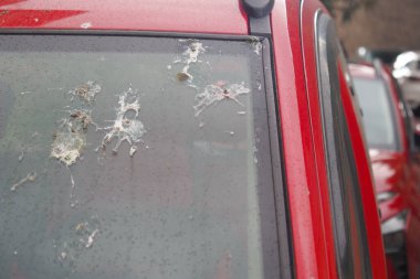 Bir zamanlar parlak ve parlak kırmızı bir arabanın penceresi artık kirli, kuş pisliği ve toz tabakalarıyla kaplı.
