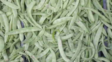 Taze yeşil fasulye kabuklarının yakın plan görüntüsü, çeşitli mutfak ve bahçe işleri için ideal.