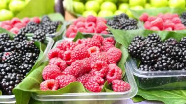 Markette canlı ve renkli taze ahududu ve böğürtlen çeşitleri