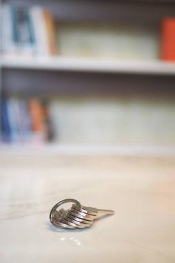 Evin anahtarları bir odadaki masanın üzerindeki yüzükteydi. Bir sürü daire anahtarı. Ev konseptinde anahtarları unutmak ,
