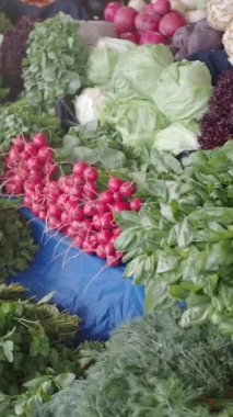 Canlı bir taze organik sebze çeşidi yerel bir markette güzel bir şekilde sergileniyor.