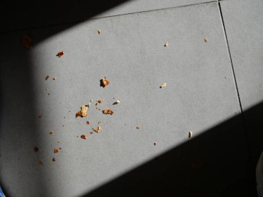 Sıcak güneş ışığıyla kısmen aydınlatılmış fayans zemininde dağınık kırıntılar var.