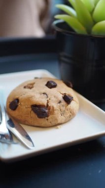 Lezzetli taze pişmiş çikolatalı kurabiye canlı ve sulu bir bitkinin yanına nazikçe yerleştirilir.