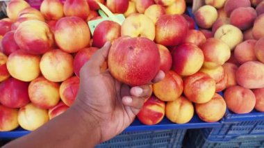 Bir el taze, sulu bir elmayı markette canlı olgun elma yığınının ortasında nazikçe tutuyor.