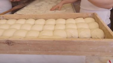 Mükemmel şekilli hamur toplarından oluşan düzgün bir tepsi pişirme işleminin başlamasını bekliyor.