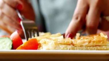 Geleneksel Türk Mutfağı Pastaları tabakta borek ,