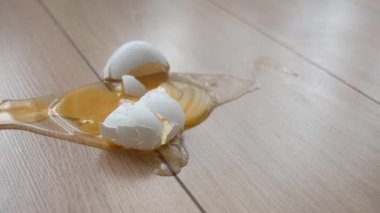 Mutfak zemininde taze kırılmış yumurta..