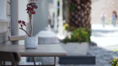 Kahve dükkanında şık bir tencerede güzel çiçeklerle dolu bir masa var.