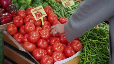 Bir el canlı bir pazarda hayat ve tazelikle vızıldayan sulu domateslere uzanır
