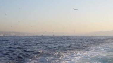 Güneş doğarken güzel bir okyanus manzarası sükuneti davet eder, ruhu sakinleştirir ve ruhu büyüler.