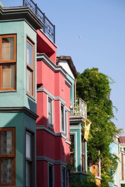 Canlı, renkli binalar etraflarını saran yemyeşil yeşilliklerle güzel bir tezat oluşturuyor.