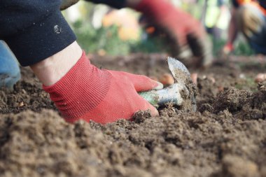 Kendini işine adamış bir bahçıvanın eli maça ile zengin ve verimli toprağı ustalıkla kazıyor.