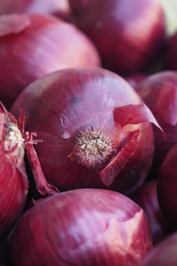 Canlı kırmızı soğanlar bir araya toplanmış, zengin renklerini ve ince dokularını sergiliyorlar.