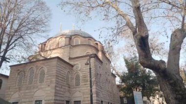 Etkileyici bir kubbesi olan çarpıcı tarihi bir bina, ağaçların arasına zarif bir şekilde yerleştirilmiş.