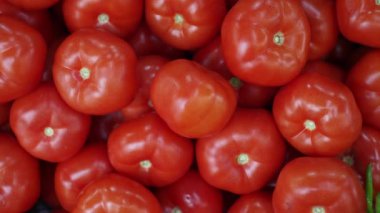 Yerel dükkanda taze domates satışı 