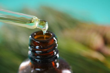 Beyaz arka planda bir şişe çam yağı ve ağaç dalı.