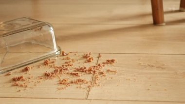 Kırılgan bir cam kap devrildi, ahşap zemine kırıntılar döküldü.