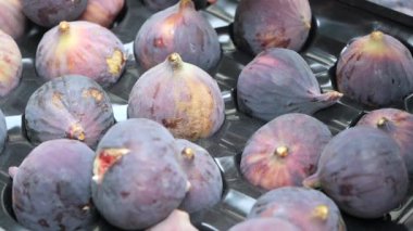 Taze toplanmış incirlerin canlı ve renkli bir çeşidi yemyeşil yaprakların arasına nazikçe yerleştirilmiş.