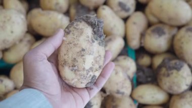 Mağazadan taze patates seçen bir adamın pov resmi. ,