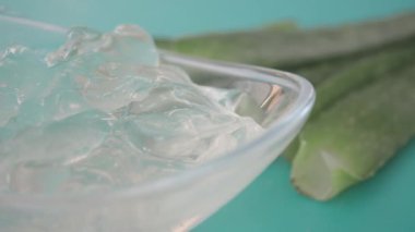 Yakın plan taze Aloe vera dilimlenmiş ve beyaz arka planda sıvı jel ,