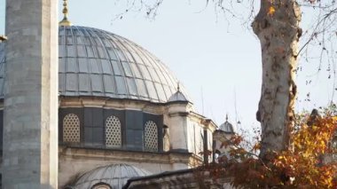 Canlı sonbahar ağaçları tarafından güzel çerçevelenmiş bir cami kubbesinin nefes kesici ve çarpıcı manzarası.