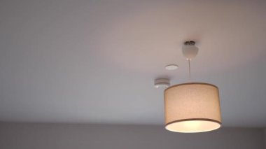 Bu şık tavan lambası eşsiz bir gölge tasarımına sahip, modern iç mekanlar için ideal.