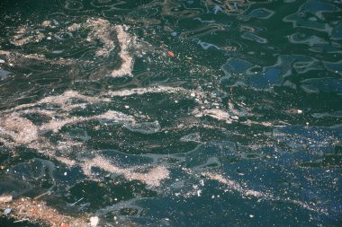 Çöplerle deniz suyu kirliliği.