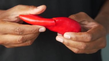 Bir insan dikkatli bir şekilde elinde canlı ve göz alıcı kırmızı biberi büyük bir dikkatle tutuyor.
