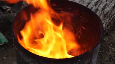 Yoğun alevler bir fıçının içinde dans eder ve kıvrılır. Ateşin saf enerjisini ve güzelliğini gösterir.