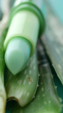 Doğal Aloe Vera Canlı Su Arkaplanı Üzerine Dudak Merhemi.