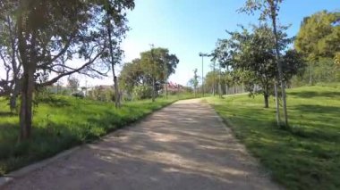 Güneşli bir günde park yolu.