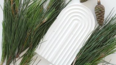 Beyaz arka planda bir şişe çam yağı ve ağaç dalı.