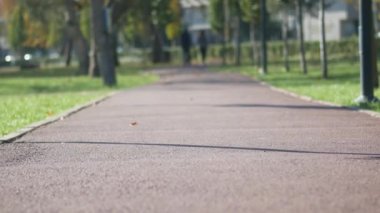 Güzel ve sakin bir park yolu her yerde yüksek ağaçlar ve canlı yeşilliklerle kaplı.